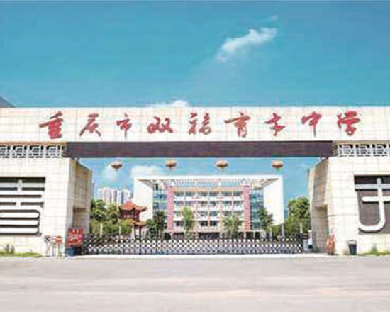 育才中学物业管理及绿化养护项目